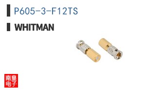 P605-3-F12TS